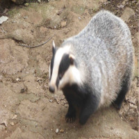 Avatar de XiamoDePuceau