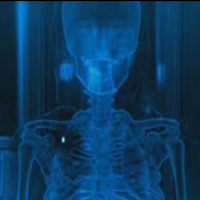 Avatar de Xray1484