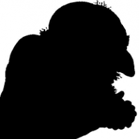 Avatar de Yahwehnoel