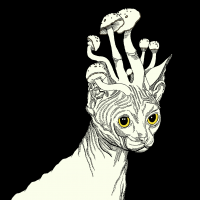 Avatar de Yasna-Leoqa
