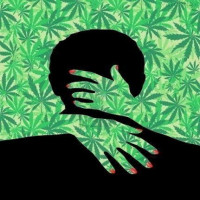 Avatar de YungPinch