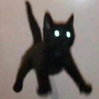 Avatar de Zuuya