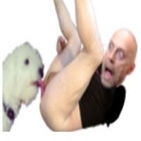 Avatar de alain-poupeto