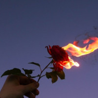 Avatar de burn