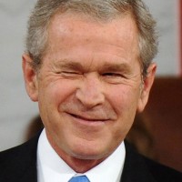 Avatar de bush