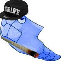 Avatar de Chrysaswagg