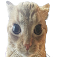 Avatar de deloumoussou