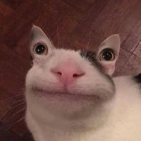 Avatar de douxou