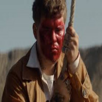 Avatar de dvd