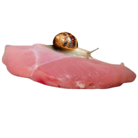 Avatar de escalope