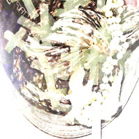 Avatar de ezone