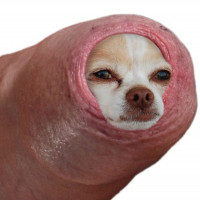 Avatar de femipute