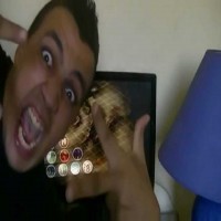 Avatar de foklevizir