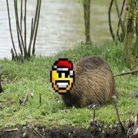 Avatar de janragond1