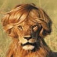 Avatar de kavodov