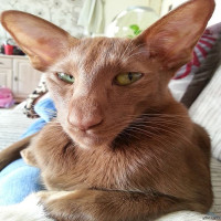Avatar de lamine632