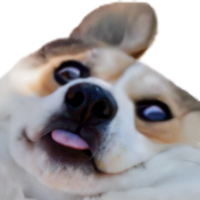 Avatar de medecinlegiste