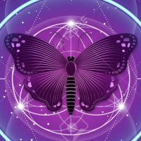 Avatar de mkpapillon