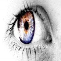 Avatar de mrX