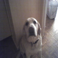 Avatar de nonito