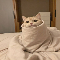 Avatar de rhododaktulos