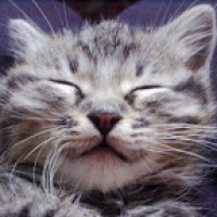 Avatar de snooze1