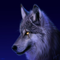 Avatar de Starfox342