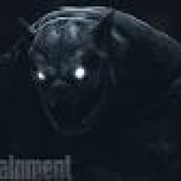 Avatar de whalenx02