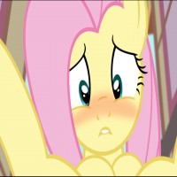 Avatar de wondershy