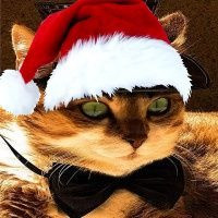Avatar de xodelo
